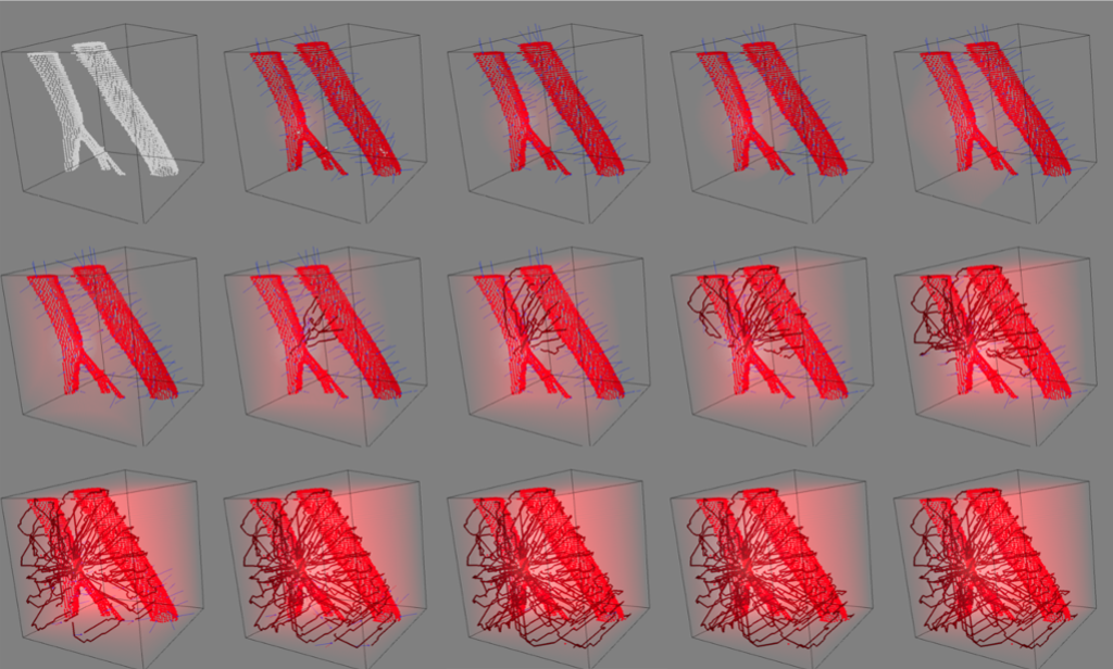 3D simulation of angiogenesis with present growth factor